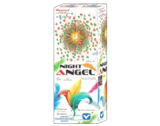 NIGHT